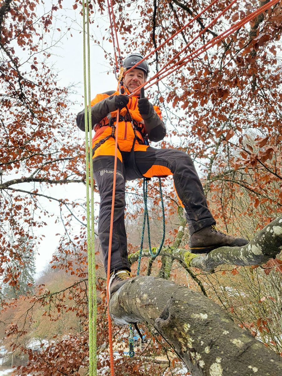 European Tree Workers