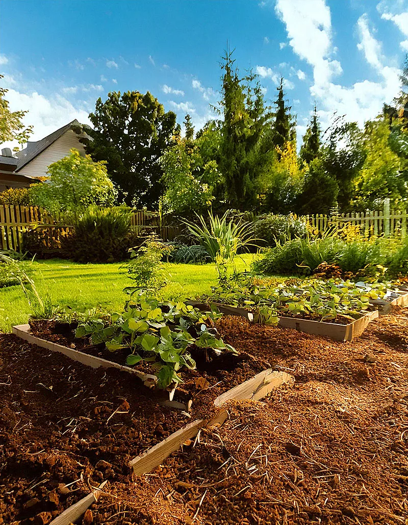 Gartenbeet mit Mulch