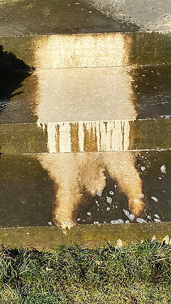 WhowEffekt Terrassenreinigung Ulm