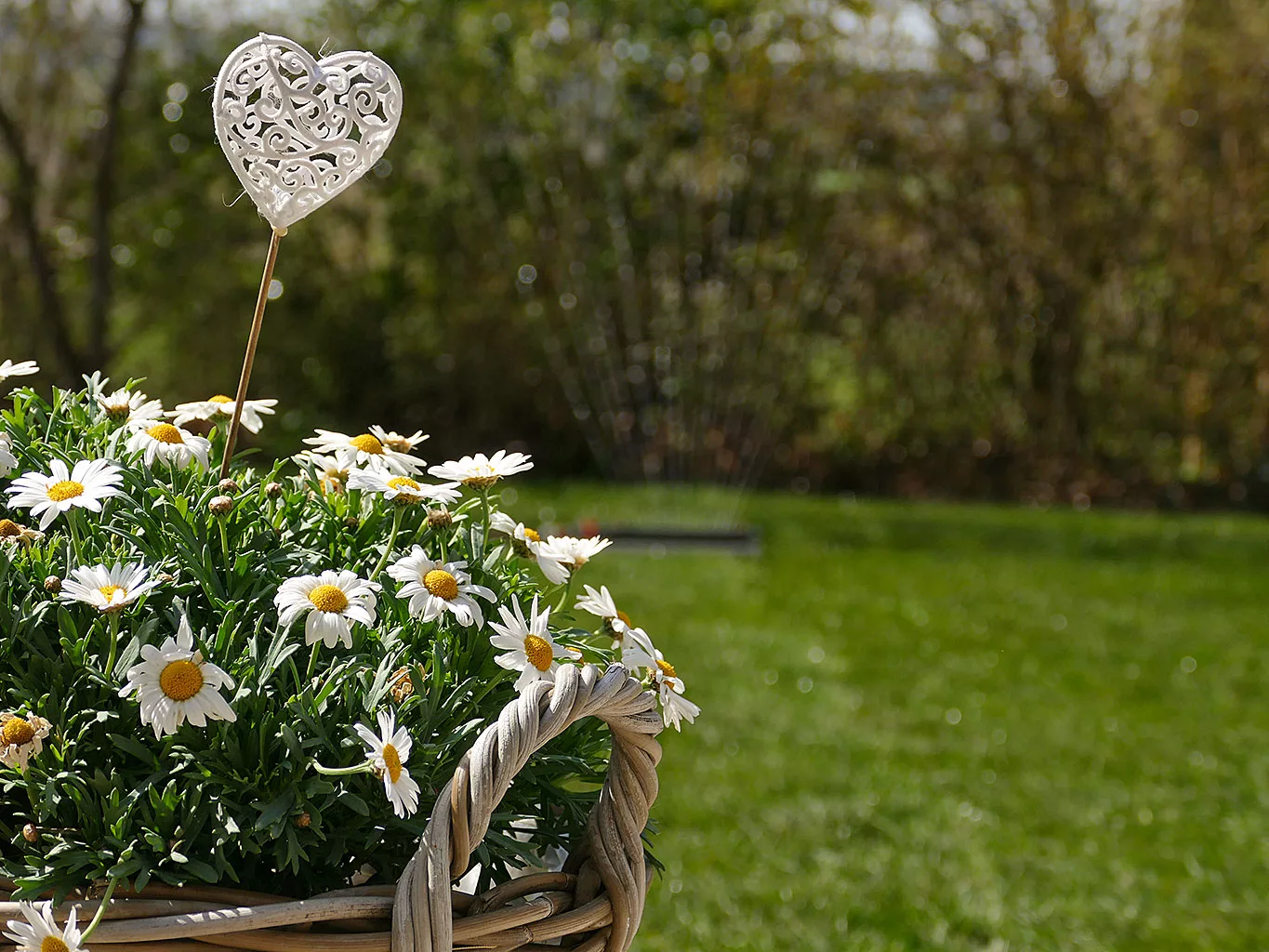Sommergarten